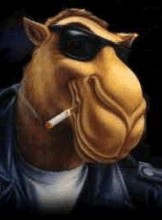 Detroit Escort MAXAM Adult Entertainer in United States, Adult Service Provider, Escort and Companion.