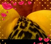 Phoenix Escort Traci Adult Entertainer in United States, Female Adult Service Provider, American Escort and Companion. photo 4